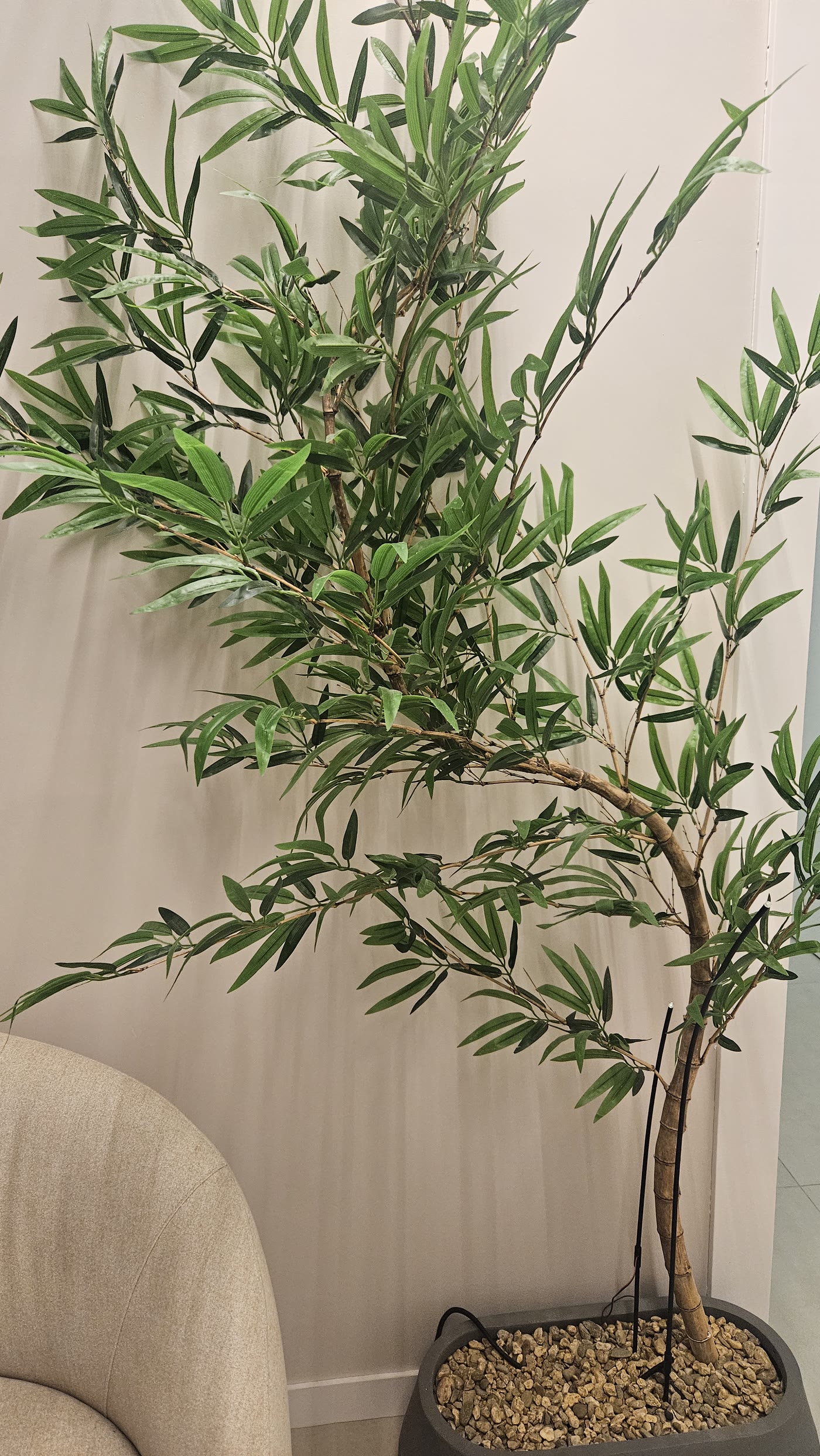 Detalhe verde da recepção do consultório no Bucarein